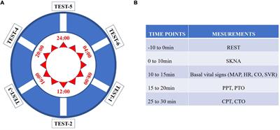 The Diurnal Profile of Human Basal Pain Sensitivity and Skin Sympathetic Nerve Activity: A Healthy Volunteer Study